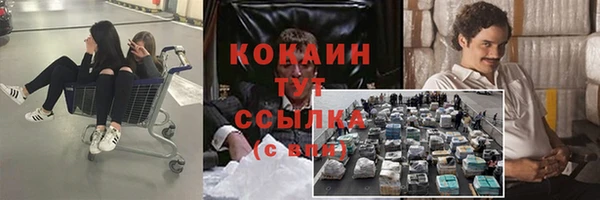 мяу мяу мука Волоколамск