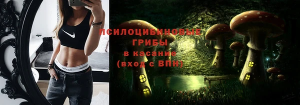 мяу мяу мука Волоколамск