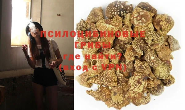мяу мяу мука Волоколамск
