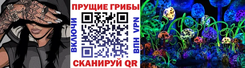 Псилоцибиновые грибы Cubensis  Кашира 