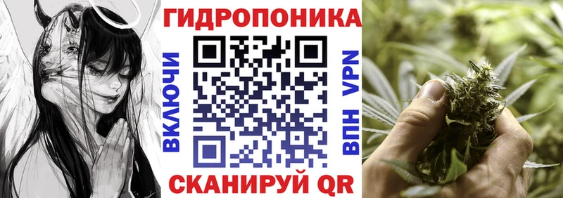 Канабис LSD WEED  ОМГ ОМГ рабочий сайт  Кашира 